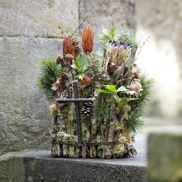 10-01100_OASIS(R)NatureSource(TM)Maxlife Brick_(C)BLOOMs