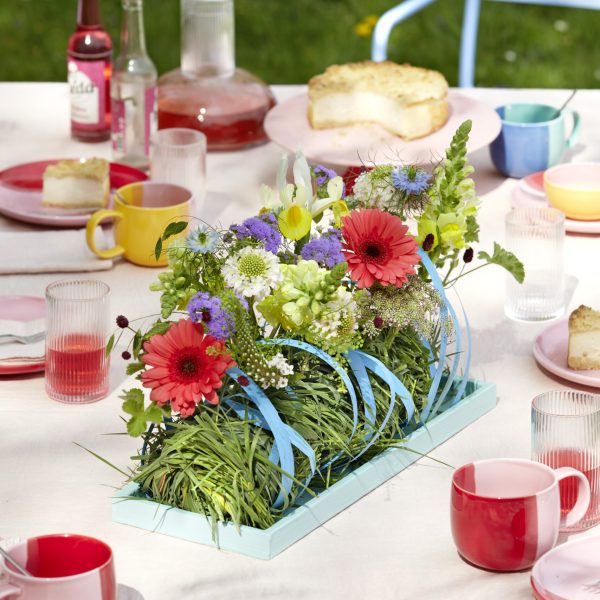 11-01014_OASIS(R)IDEAL Zylinderstange_(C)BLOOMs