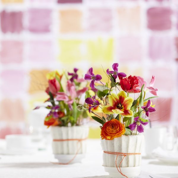 11-03037_OASIS(R)Junior Complet (2)