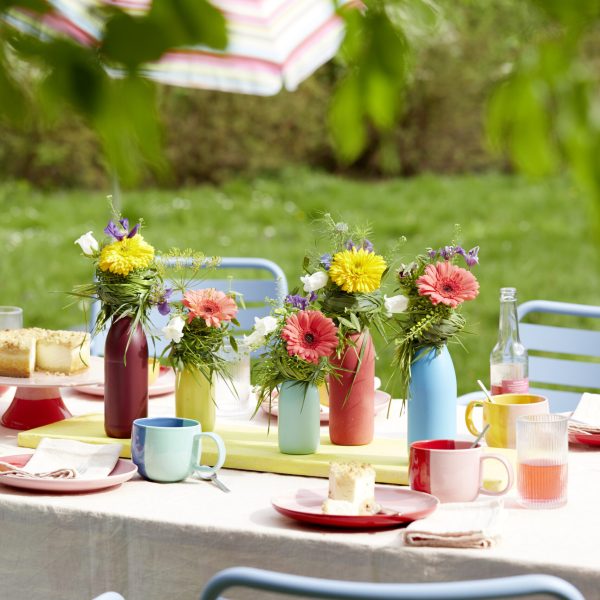 11-03230_OASIS(R)Mini Deco_(C)BLOOMs