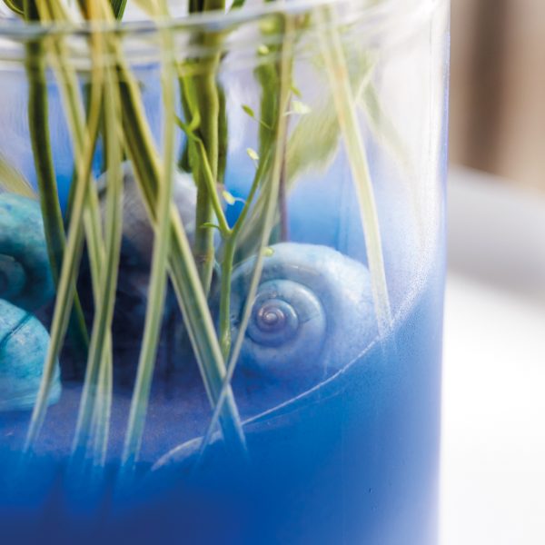 Vase gesprayt
