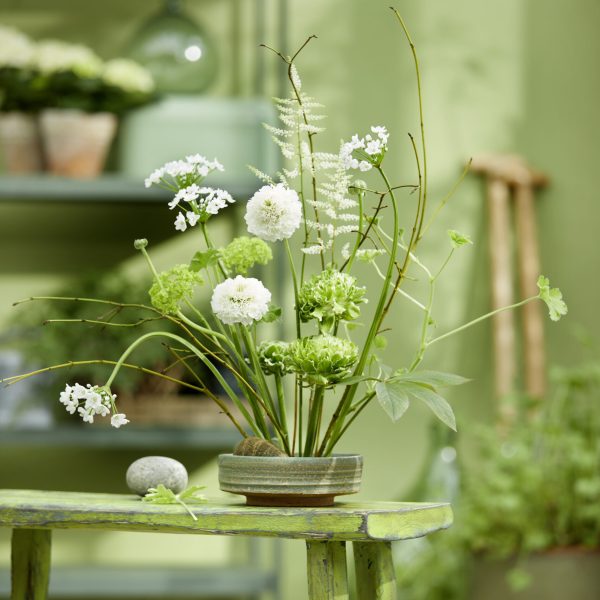 45-03082_Steckigel_(C)BLOOMs (2)