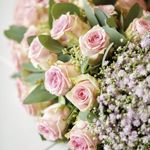 (C)BLOOM's_11-07372 11-90124 OASIS(R) bioFLOR Kranz_02-1